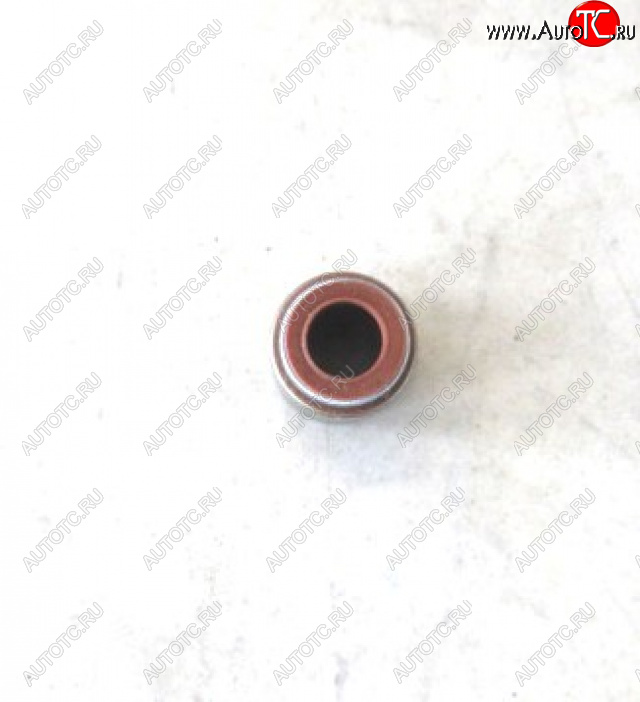 79 р.     Колпачки маслосъемные (YC6108) 430-1007016A YUCHAI 430-1007016a  с доставкой в г. Керчь