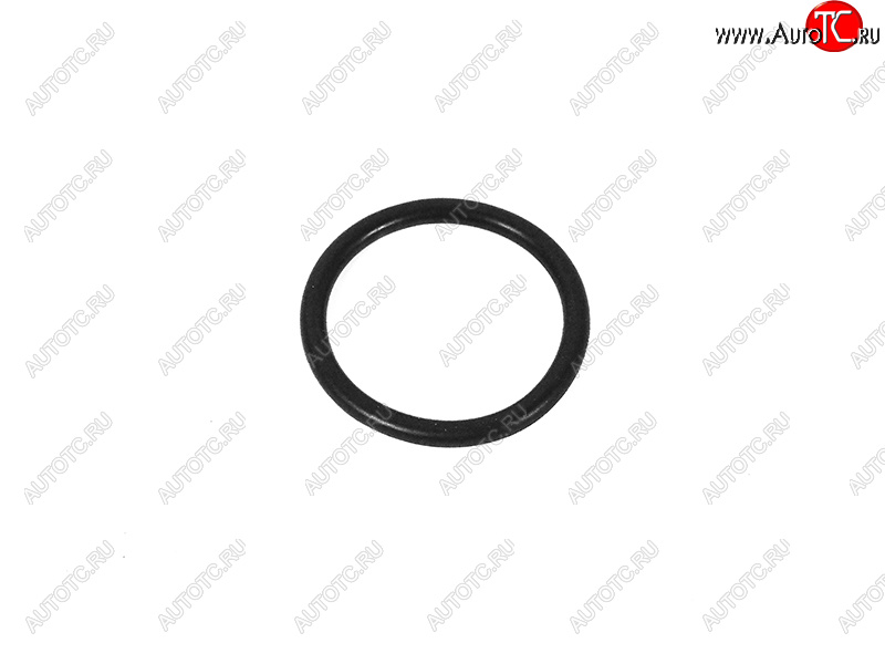 369 р. Кольцо уплотнительное АКПП VAG VAG WHT001403  с доставкой в г. Керчь