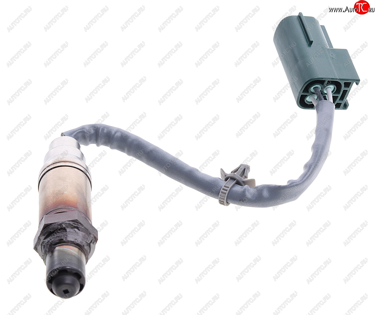 6 299 р. Датчик кислорода NISSAN Micra (03-) (1.2/1.4) BOSCH BOSCH 0258005307 BOSCH 0258005307  с доставкой в г. Керчь