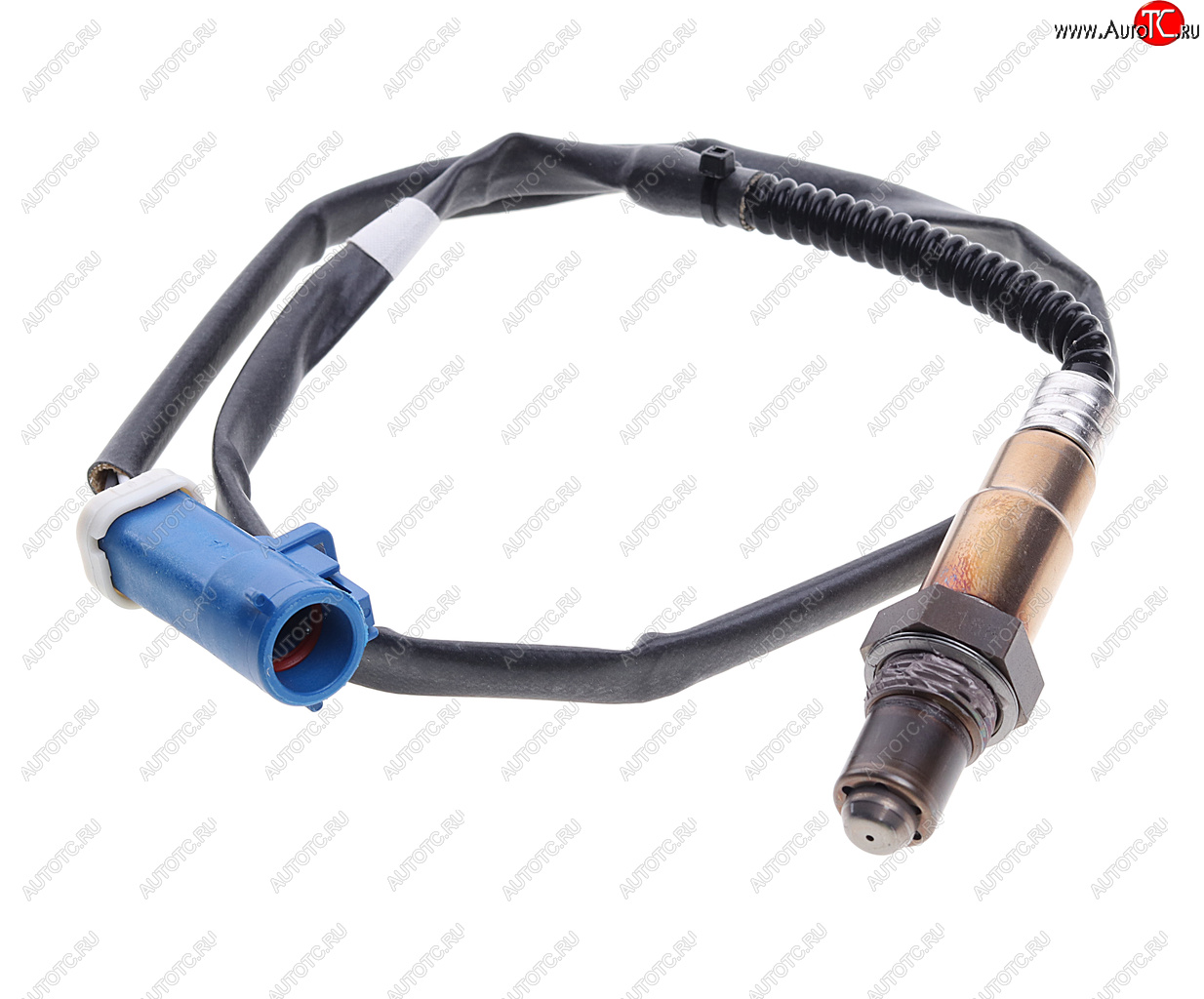 10 899 р. Датчик кислорода FORD Galaxy (01-) (2.0/2.3) BOSCH BOSCH 0258006187 BOSCH 0258006187  с доставкой в г. Керчь