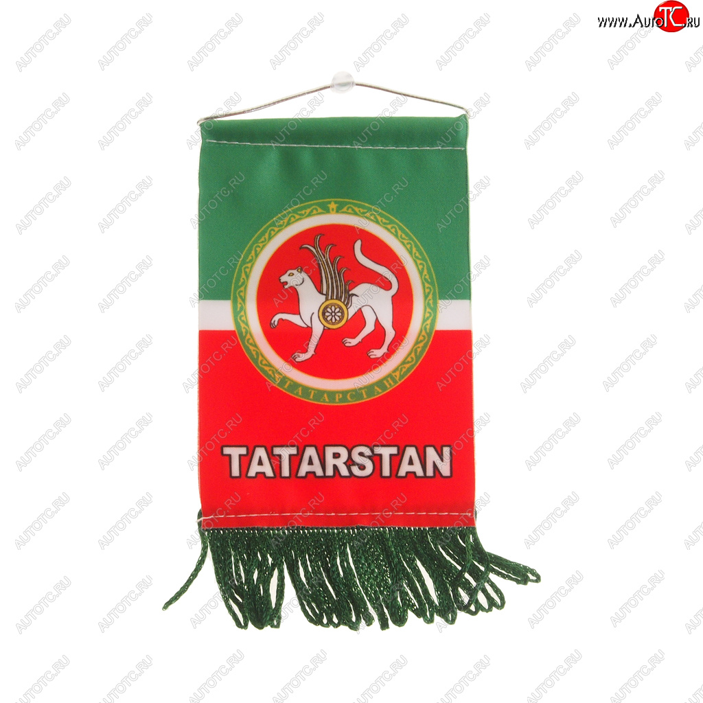 172 р. Вымпел TATARSTAN с бахромой (8х12см) на присоске AUTOSTICKERS 06271057538  с доставкой в г. Керчь