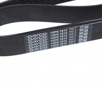 2 299 р. Ремень приводной поликлиновой 10PK1815HD DAYCO DAYCO 10pk1815hd  с доставкой в г. Керчь. Увеличить фотографию 2