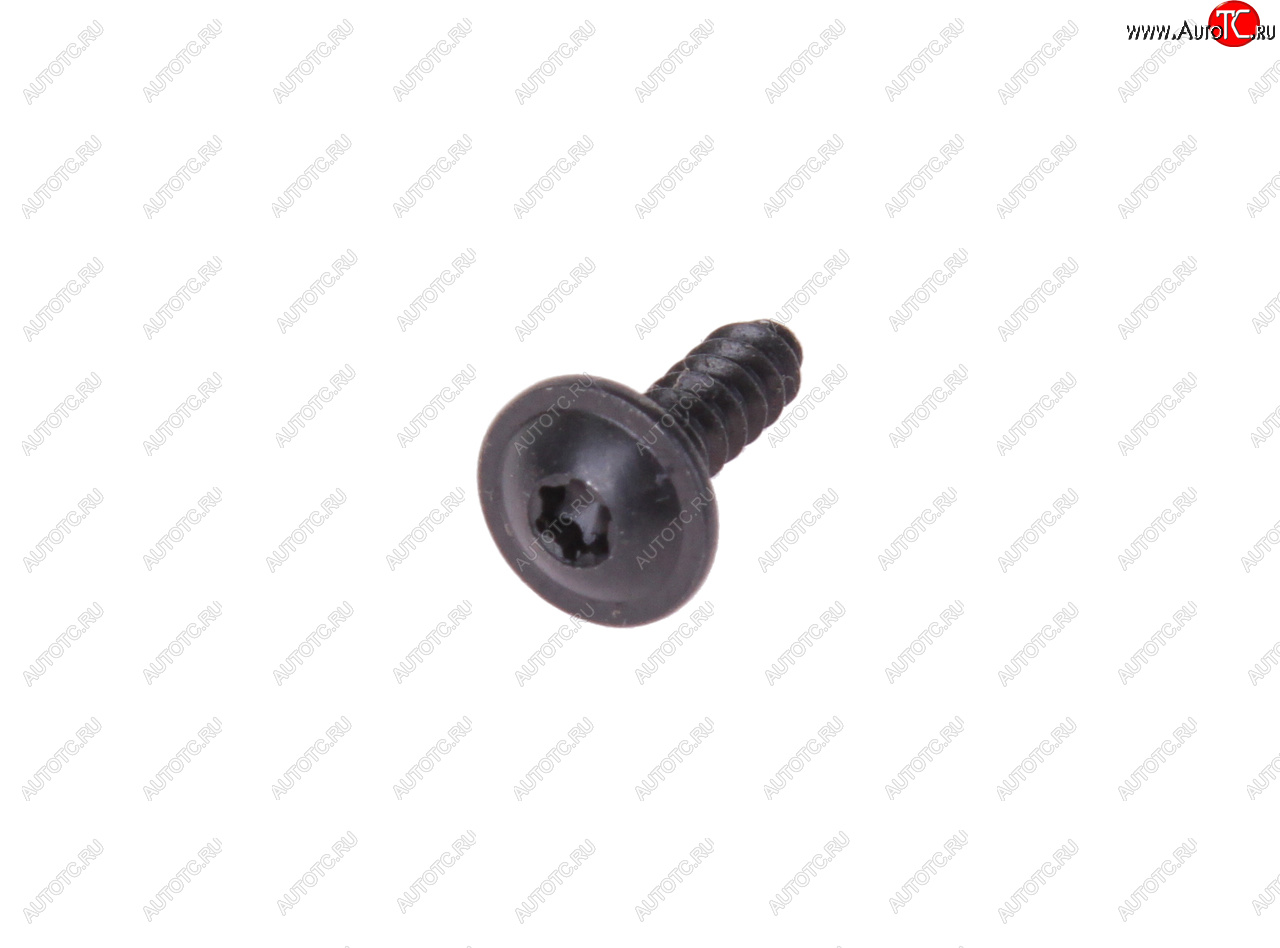 32 р. Саморез 3.5х13мм под TORX SMILGA SMILGA 1406  с доставкой в г. Керчь
