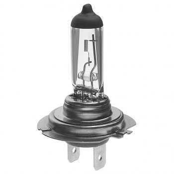 166 р. Лампа 12V H7 55W PX26d Eco BOSCH BOSCH 1987302804  с доставкой в г. Керчь. Увеличить фотографию 1