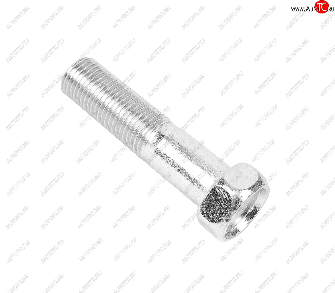 38 р. Болт М12х1.25х50 ГАЗ-3302 эксцентрика ГРМ ЭТНА Красная Этна ОАО 201571-п29  с доставкой в г. Керчь
