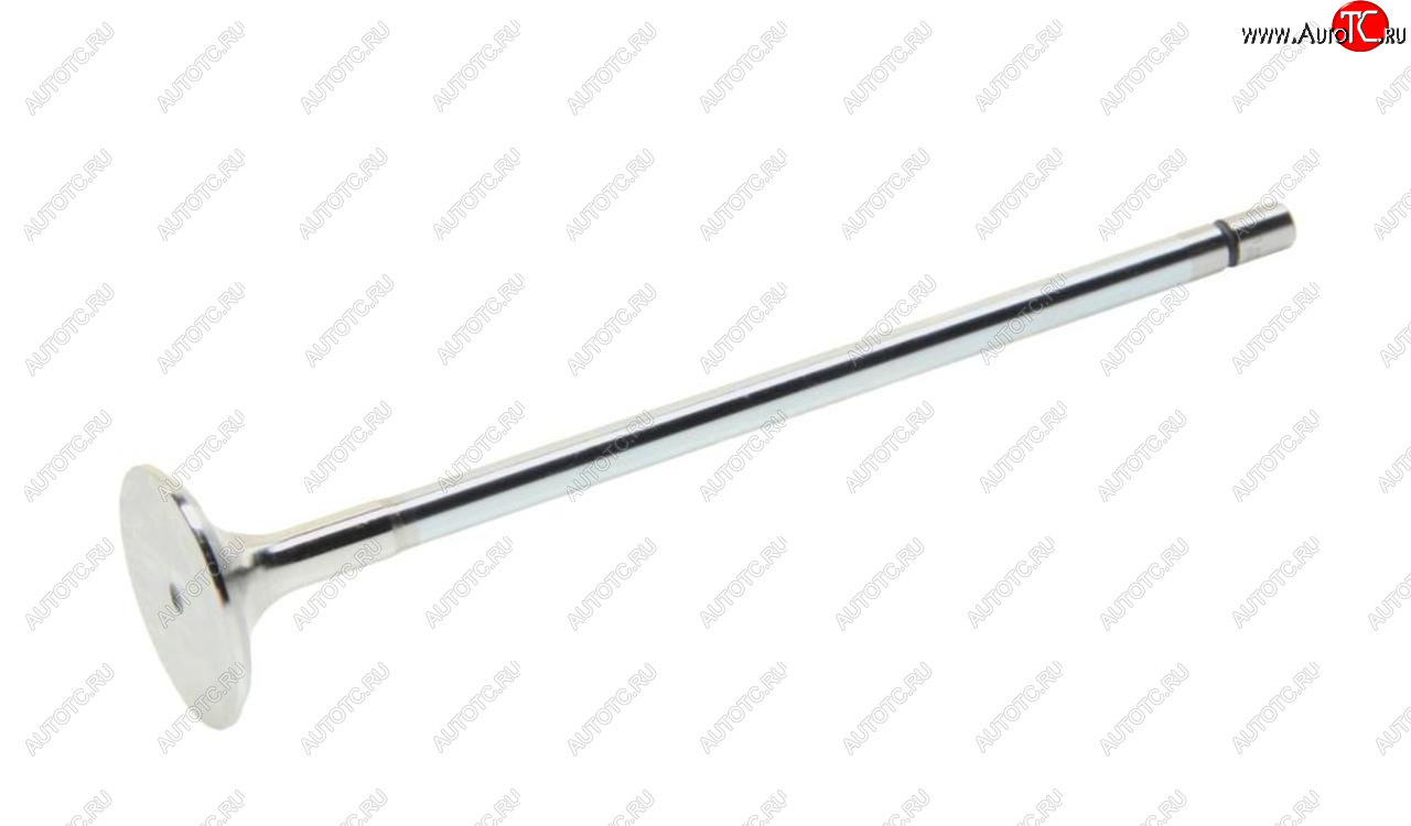 2 259 р. Клапан выпускной RENAULT Kerax дв.DCI11 MAHLE MAHLE 209va31297000  с доставкой в г. Керчь