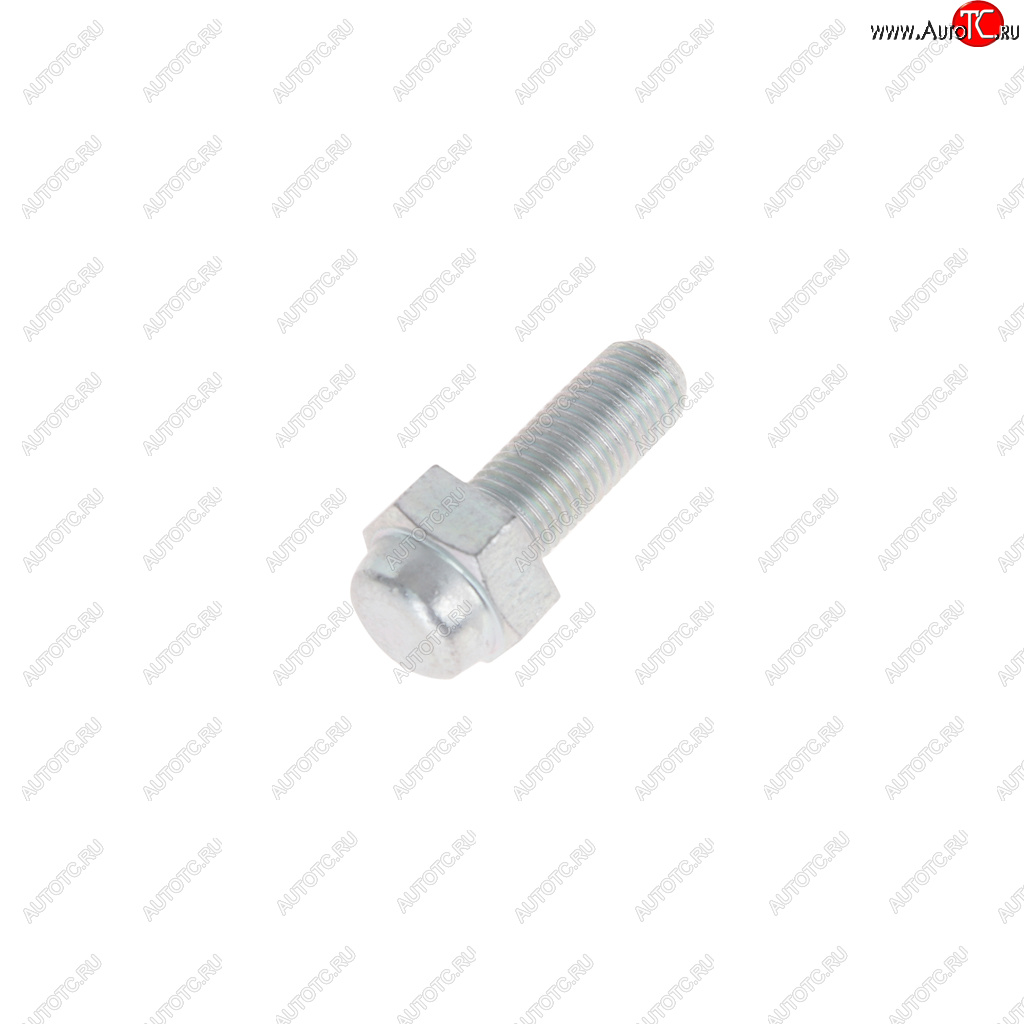 24 р. Болт М10х1.25х25 ВАЗ-2101 суппорта нижний NO NAME 2101-3501190  с доставкой в г. Керчь