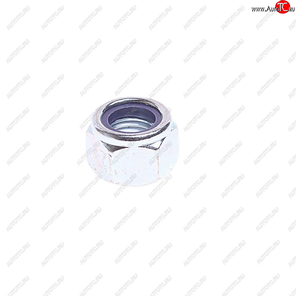 127 р. Гайка с тефлоном (M20х2,5мм) BPW/SAF DT DT 2.62911 DT 2.62911  с доставкой в г. Керчь