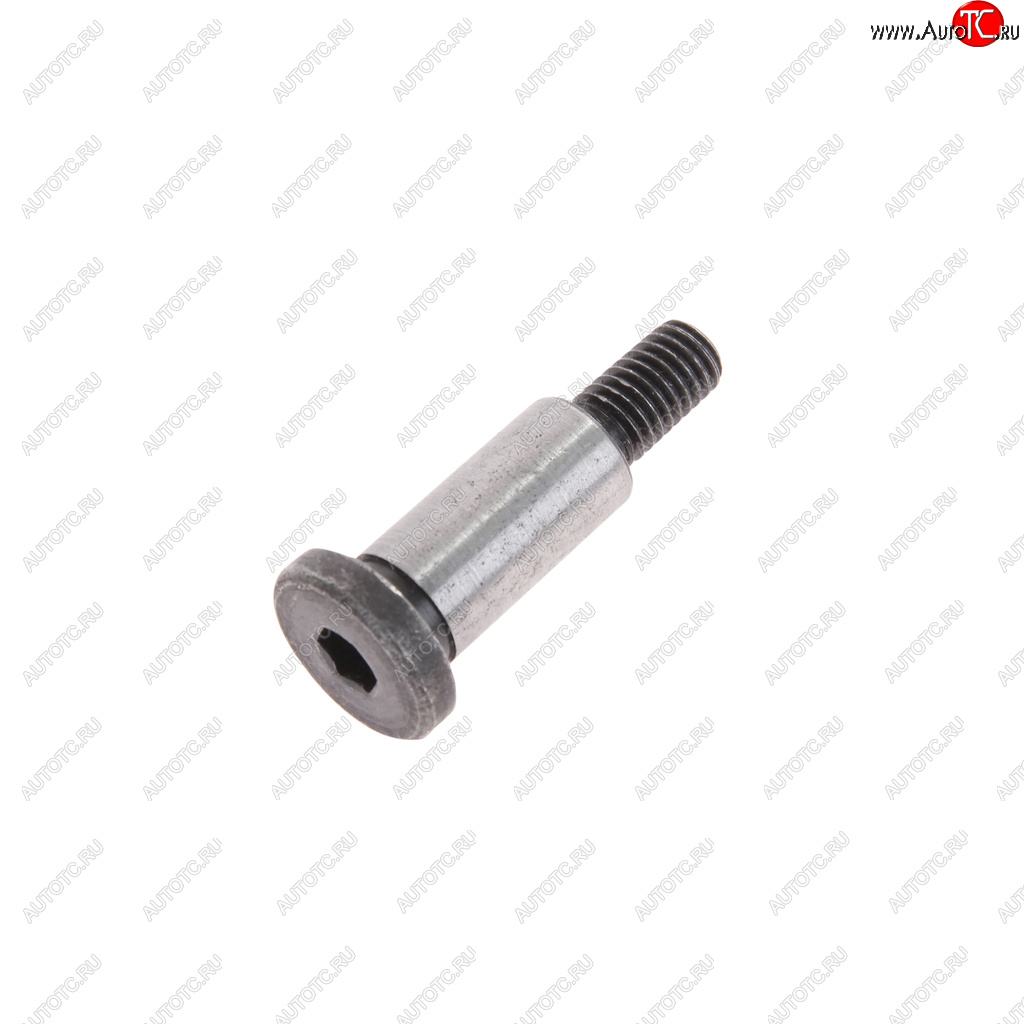 115 р. Болт М8х1.25х40 ГАЗ-3102 башмака натяжителя ЭТНА Красная Этна ОАО 406.1006098-10  с доставкой в г. Керчь