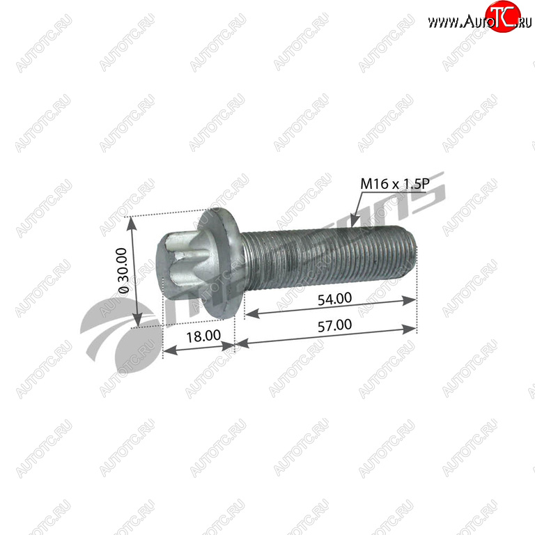 175 р. Болт SCHMITZ крепления суппорта MANSONS MANSONS 602.009  с доставкой в г. Керчь