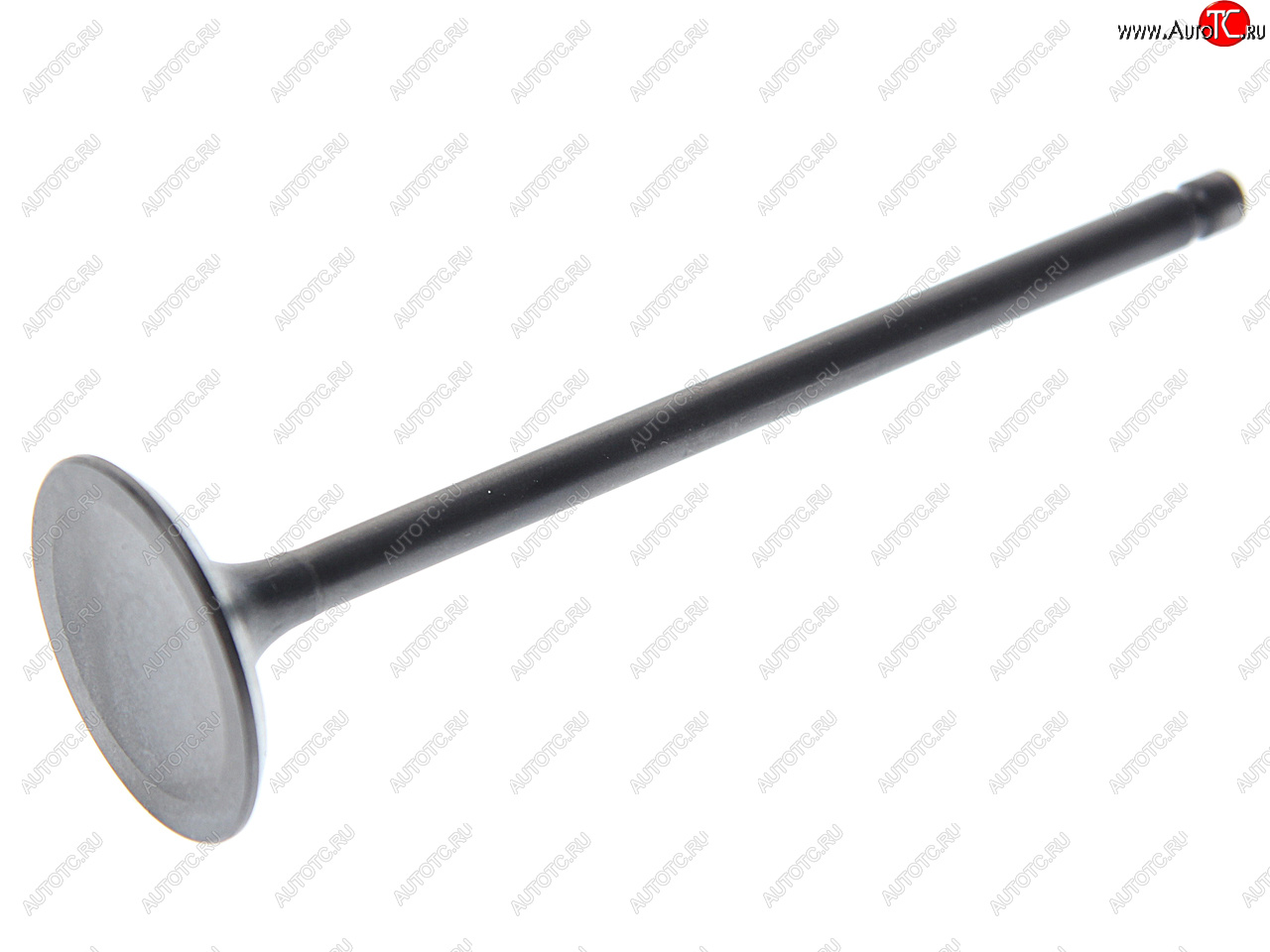217 р. Клапан выпускной CHEVROLET Aveo (03-) (1.2) (1шт.) SHINHAN SHIN HAN 94581486  с доставкой в г. Керчь