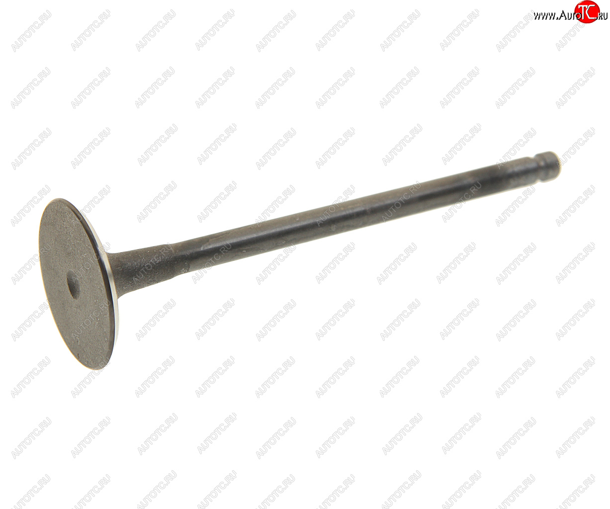 199 р. Клапан впускной CHEVROLET Epica (V250) (07-) (2.0) (1шт.) SHINHAN SHIN HAN 96307816 SHIN HAN 96307816  с доставкой в г. Керчь
