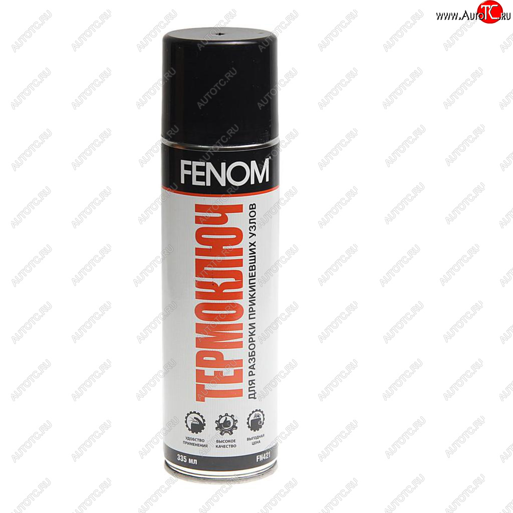 359 р. Спрей-охладитель (максимум до -45°С) 335мл Термоключ FENOM FENOM fn421  с доставкой в г. Керчь