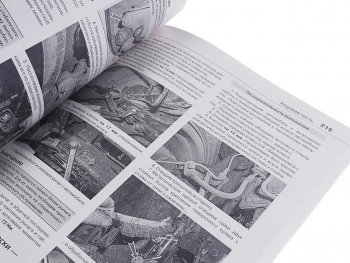 1 239 р. Книга KIA Sportage (15-) чб фото руководство по ремонту серия Я ремонтирую сам МИР АВТОКНИГ МИР АВТОКНИГ мир автокниг (46071)  с доставкой в г. Керчь. Увеличить фотографию 2