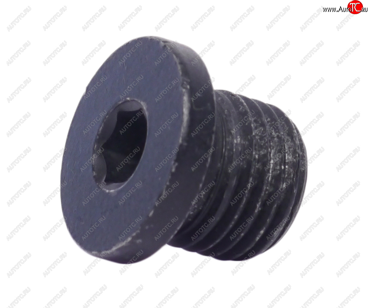 369 р. Пробка сливная VW AUDI SEAT SKODA поддона картера OE VAG n0160276  с доставкой в г. Керчь
