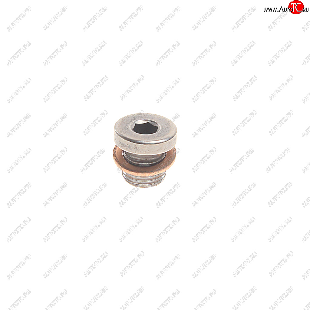 276 р. Пробка сливная VW AUDI SEAT SKODA поддона картера OE VAG n90281802  с доставкой в г. Керчь