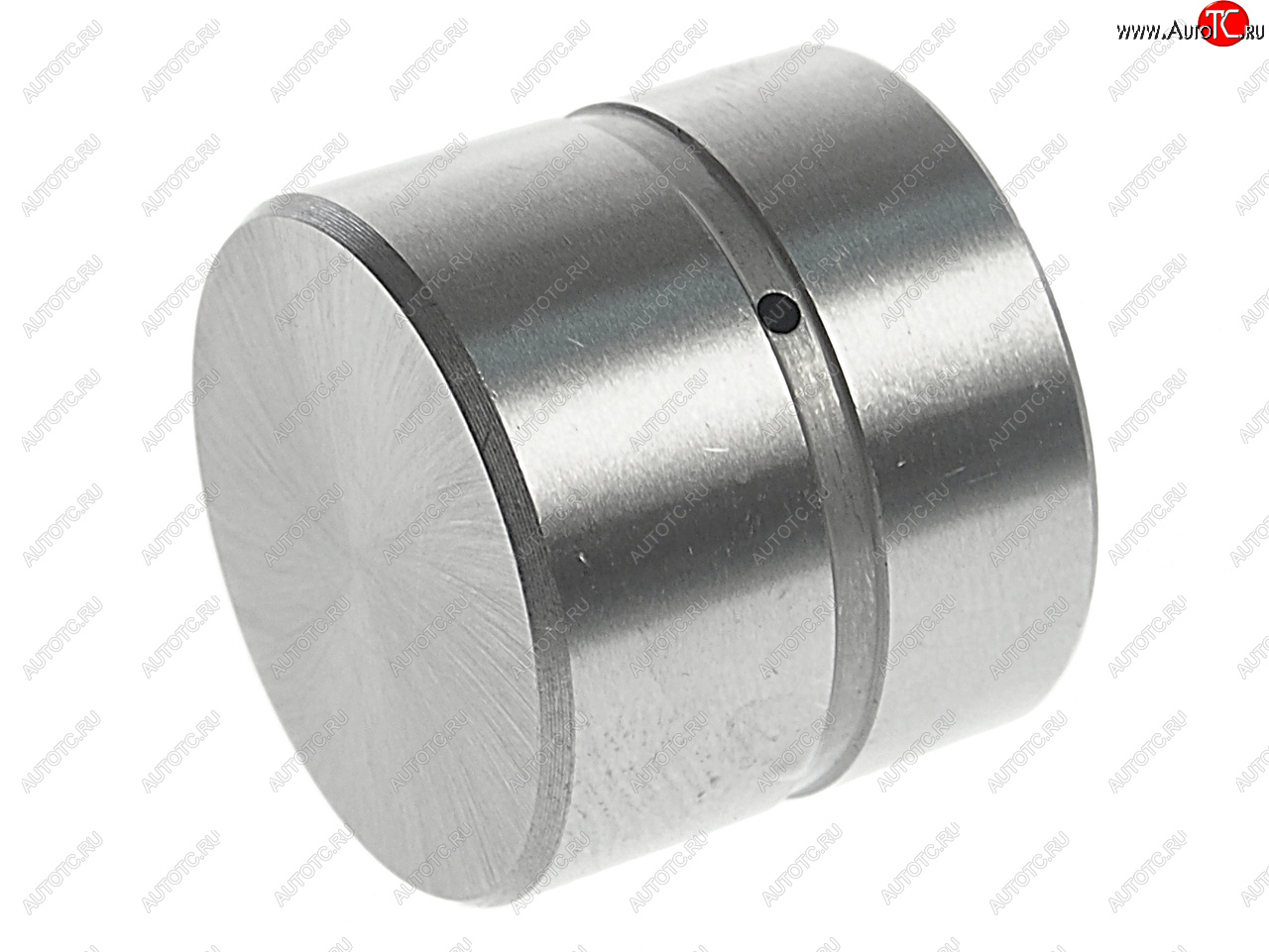 529 р. Гидрокомпенсатор HYUNDAI Accent (99-),Elantra (00-),Getz (02-),Matrix (01-) NSP NSP nsp022223137110  с доставкой в г. Керчь