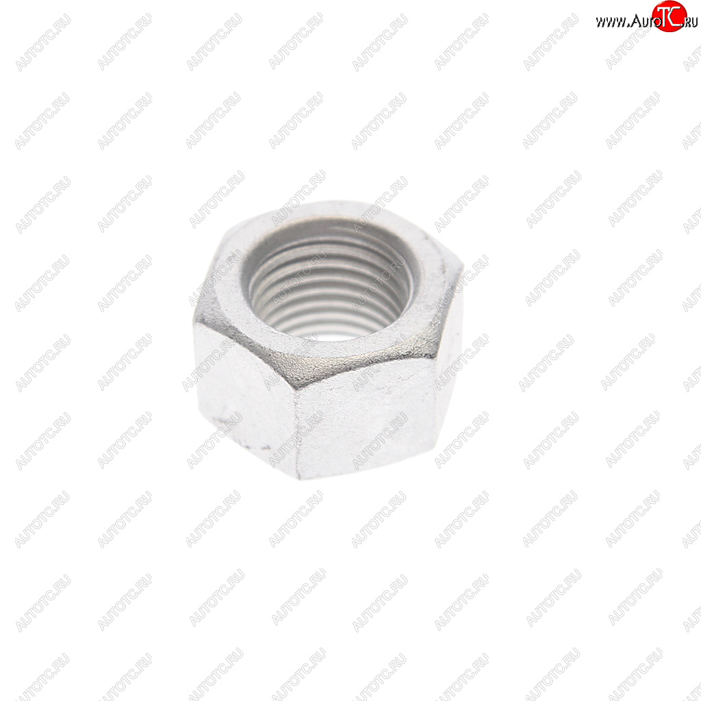 164 р. Гайка VW AUDI SEAT SKODA PATRON PATRON pblt031  с доставкой в г. Керчь