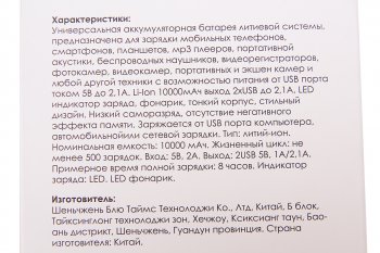 949 р. Аккумулятор внешний 10000мАч для зарядки мобильных устройств RITMIX  rpb-10001l white  с доставкой в г. Керчь. Увеличить фотографию 3