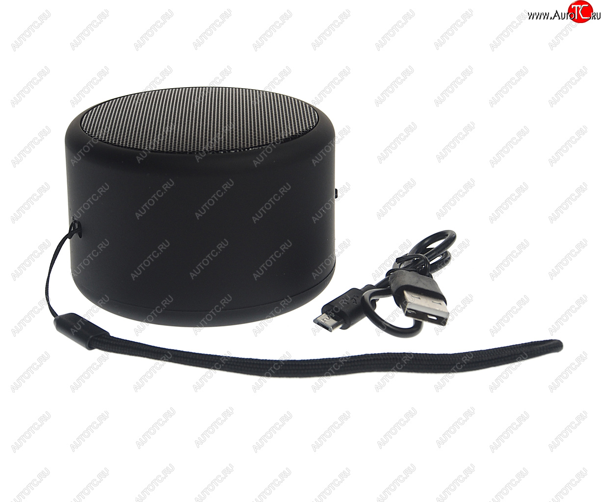 849 р. Колонка беспроводная bluetooth Mini TFN TFN tfn-bs01-01bk  с доставкой в г. Керчь