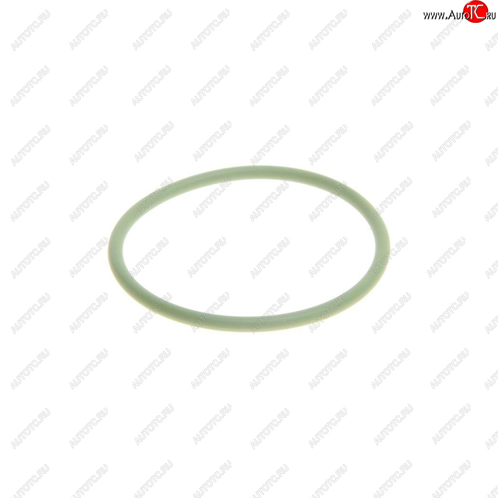 599 р. Кольцо уплотнительное VW AUDI SEAT SKODA OE VAG wht003247  с доставкой в г. Керчь