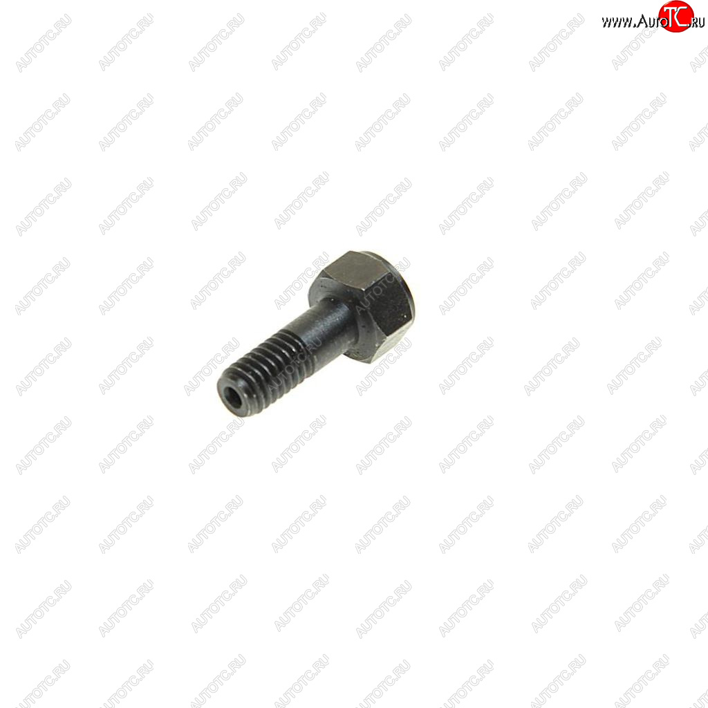 106 р. Болт MAN дренажный (обратка) (M6х1) SAMPA SAMPA 021.380  с доставкой в г. Керчь