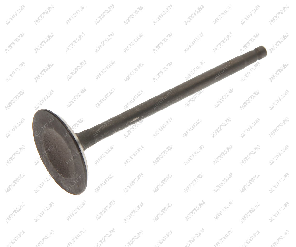 1 299 р. Клапан впускной MAZDA CX-7 (07-) двигателя MASTERKIT MASTERKIT 77bv244  с доставкой в г. Керчь