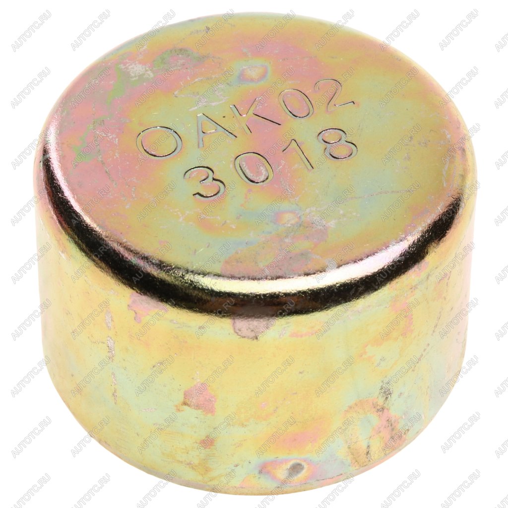 173 р. Заглушка SITRAK C7H MAX направляющей суппорта тормозного OE SITRAK wg4007443018  с доставкой в г. Керчь