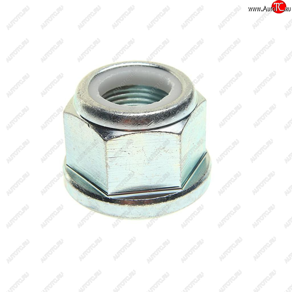 329 р. Гайка MAN стремянки (M27x2) SAMPA SAMPA 020.145  с доставкой в г. Керчь
