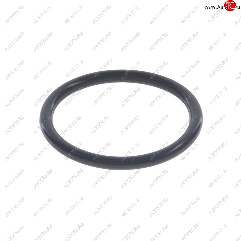 499 р. Кольцо уплотнительное ТНВД BOSCH BOSCH 2430210088  с доставкой в г. Керчь
