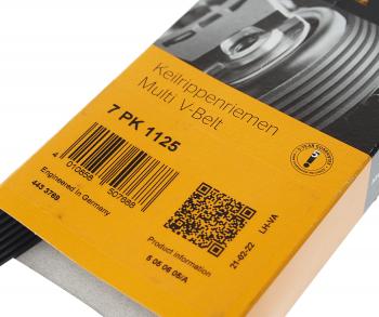 2 049 р. Ремень приводной поликлиновой 7PK1125 RENAULT Megane (08-) CONTITECH CONTITECH 7pk1125  с доставкой в г. Керчь. Увеличить фотографию 2