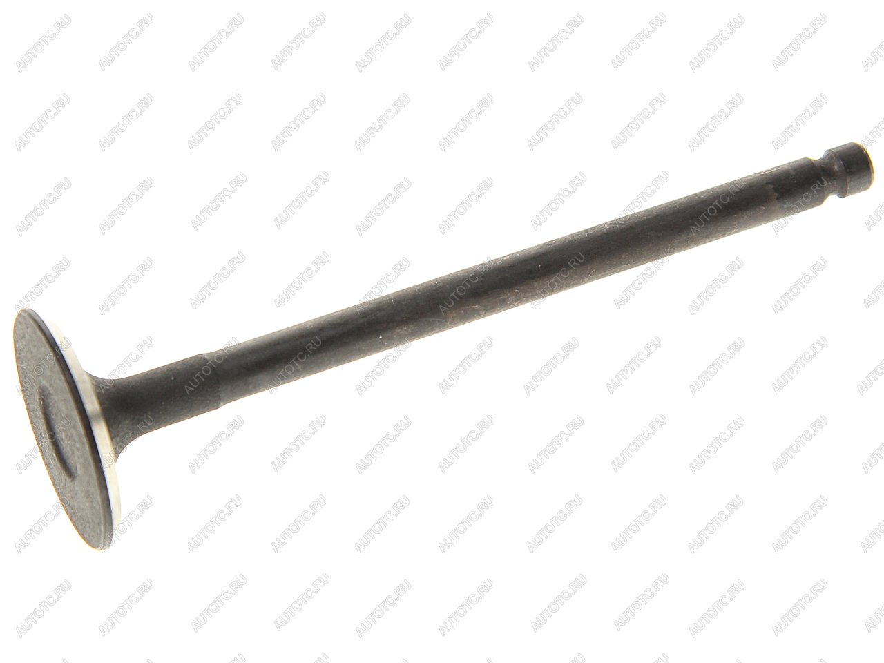 599 р. Клапан впускной HYUNDAI Accent (99-) MASTERKIT MASTERKIT 77bv045  с доставкой в г. Керчь