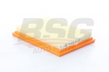 339 р. Фильтр воздушный FORD Fiesta (01-),Fusion (02-) BSG BSG bsg30135028  с доставкой в г. Керчь. Увеличить фотографию 1