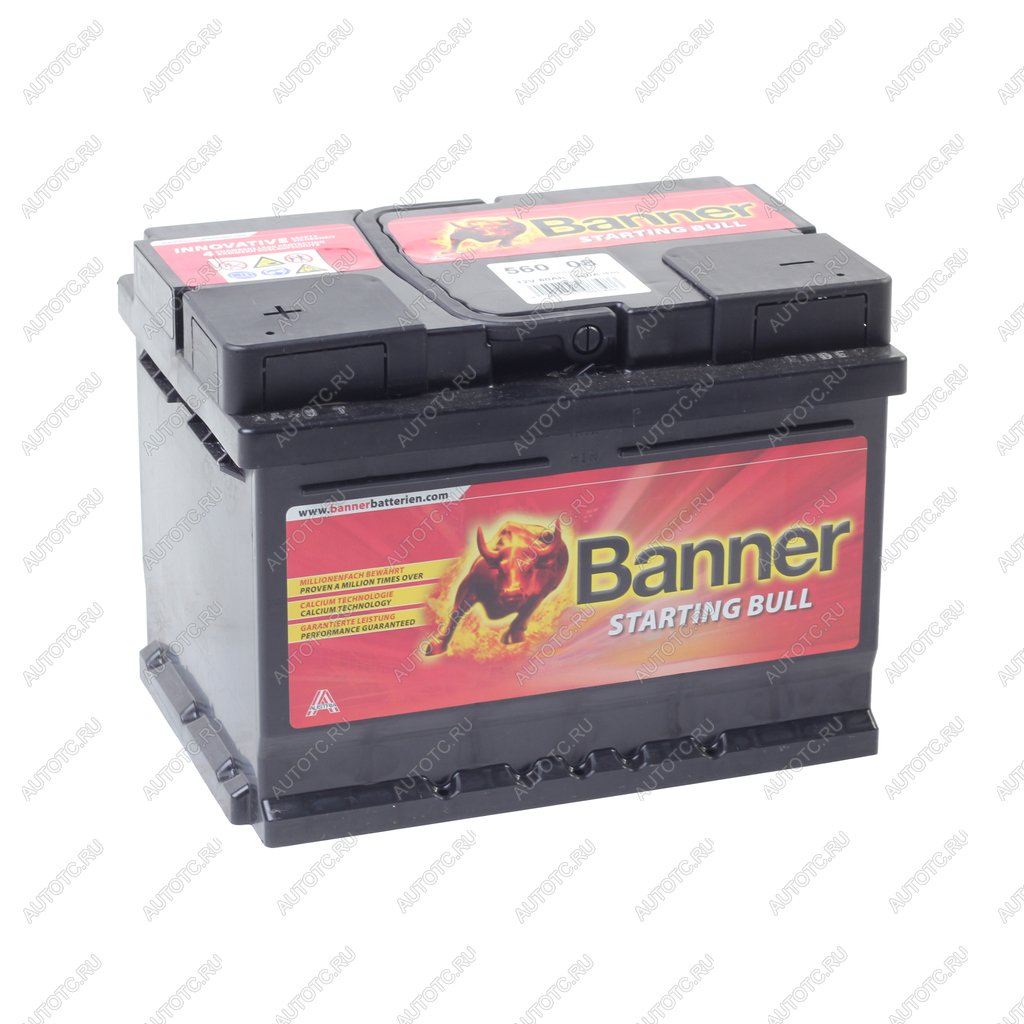 7 499 р. Аккумулятор BANNER Starting Bull 60Ач низкий BANNER 6ст60(1) 560 08  с доставкой в г. Керчь