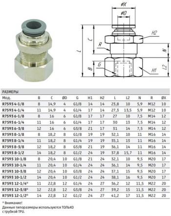 239 р. Фитинг панельного монтажа с внутр. резьбой R7593 8-14  r7593 8-14  с доставкой в г. Керчь. Увеличить фотографию 2