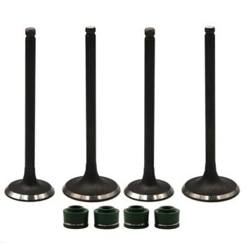 1 699 р. Комплект клапанов c маслосъемными колпачками AHL Yamaha TTR250  пм-00030760  с доставкой в г. Керчь. Увеличить фотографию 1