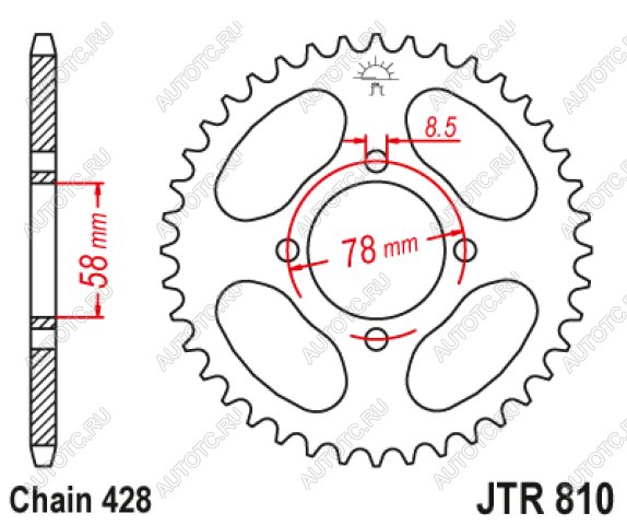 1 699 р. Звезда цепного привода JTR810 43  jtr810.43  с доставкой в г. Керчь
