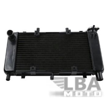 9 999 р. Радиатор для Yamaha FZ6, FZ6N, FZ6-N, FZ6S  04-10  пм-00000940  с доставкой в г. Керчь. Увеличить фотографию 1