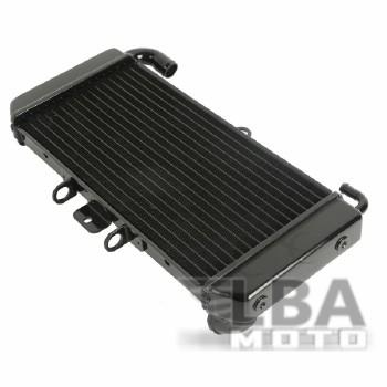 11 449 р. Радиатор для Yamaha FZS600 98-03  пм-00000942  с доставкой в г. Керчь. Увеличить фотографию 2