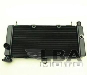 12 449 р. Радиатор для Honda CB600F 98-05 (Hornet), CB600F 00-03 (Hornet S)  пм-00000958  с доставкой в г. Керчь. Увеличить фотографию 1