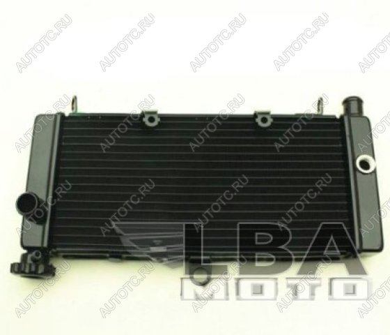 12 449 р. Радиатор для Honda CB600F 98-05 (Hornet), CB600F 00-03 (Hornet S)  пм-00000958  с доставкой в г. Керчь