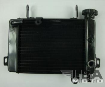 10 399 р. Радиатор для Honda CBR125 04-10  пм-00000961  с доставкой в г. Керчь. Увеличить фотографию 1