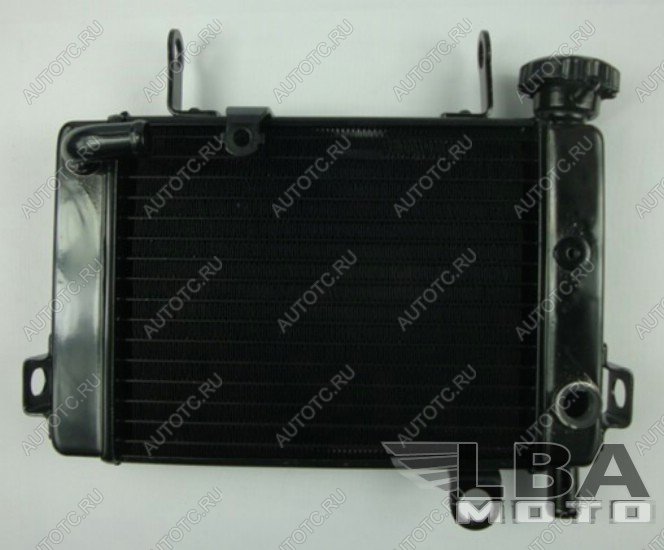 10 399 р. Радиатор для Honda CBR125 04-10  пм-00000961  с доставкой в г. Керчь