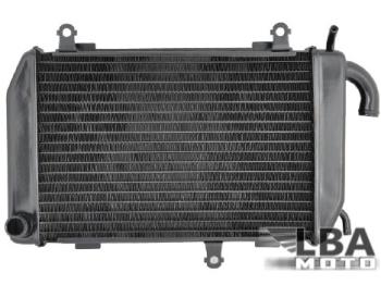 12 449 р. Радиатор правый для Honda GL1800 RH 01-14, GL1800B RH 13-14  пм-00003645  с доставкой в г. Керчь. Увеличить фотографию 1