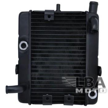 17 449 р. Радиатор для Yamaha YP250  пм-00003663  с доставкой в г. Керчь. Увеличить фотографию 1