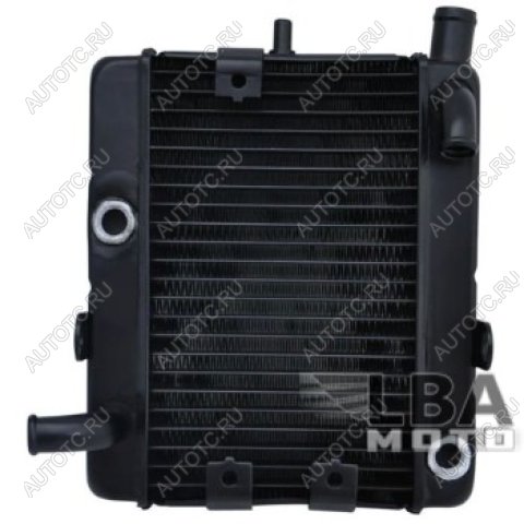17 449 р. Радиатор для Yamaha YP250  пм-00003663  с доставкой в г. Керчь