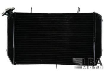 10 999 р. Радиатор для Yamaha FZ1 06-13, FZ1-N 06-12, FZ1-S 06-13, FZ8-N 11-13, FZ8-S 11-13  пм-00003665  с доставкой в г. Керчь. Увеличить фотографию 1