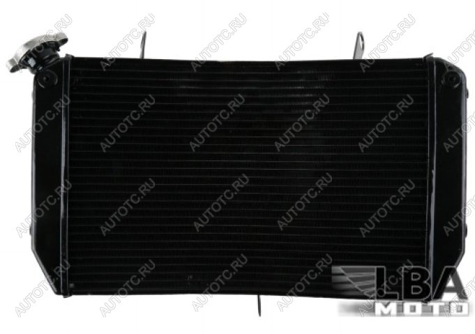 10 999 р. Радиатор для Yamaha FZ1 06-13, FZ1-N 06-12, FZ1-S 06-13, FZ8-N 11-13, FZ8-S 11-13  пм-00003665  с доставкой в г. Керчь