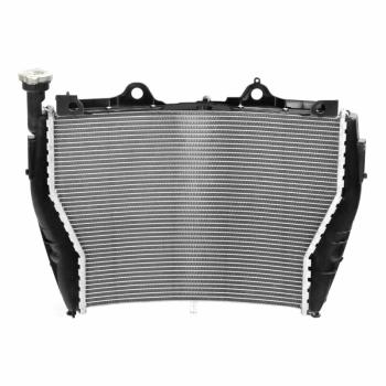 29 999 р. Радиатор для BMW S1000R 14-20, S1000XR 15-19  пм-00025630  с доставкой в г. Керчь. Увеличить фотографию 1