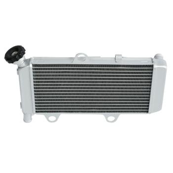 10 649 р. Радиатор для Yamaha XT660R, XT660X 04-14  пм-00025634  с доставкой в г. Керчь. Увеличить фотографию 1